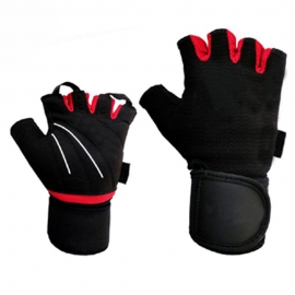 Gym Gloves